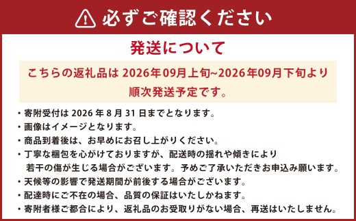 大粒種なしぶどう3色セット 3種 合計 約1.4kg (3房) ブドウ 葡萄 果物 くだもの フルーツ 【2026年9月上旬発送開始】