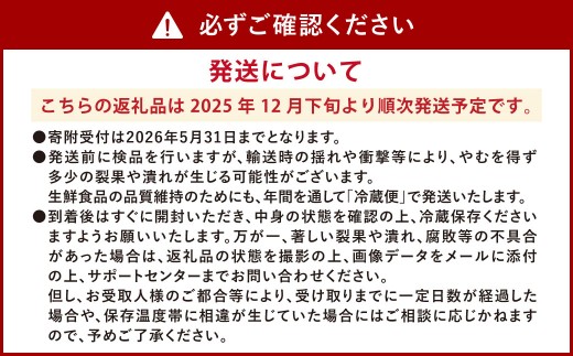 ソムリエ ミニトマト プラチナ 3kg とまと トマト 野菜 やさい 熊本県産 【2025年12月下旬発送開始】