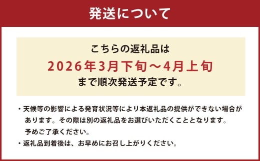 熊本県産 すいか 春のだんらん 5kg以上 スイカ 西瓜 果物 くだもの フルーツ おすすめ ギフト 贈り物 【2026年3月下旬発送開始】
