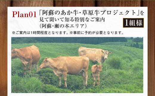 ～食べることは生きること～ 草原の魅力を学び、味わいながらシェフと草原の話をし、阿蘇の未来を考える特別な食事と体験（特別なご案内1組＋特別ディナー1名分） チケット 体験 サステナブル ディナー