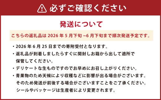 熊本県産 金色羅皇 ( 高級 西瓜 ) 約5kg 1玉 スイカ すいか フルーツ くだもの 果物 熊本 国産 【2026年5月下旬発送開始】