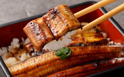 熊本県産天然ウナギ素焼き（肝付） 約260g 天然 鰻 うなぎ ウナギ 蒲焼 うな重 ひつまぶし おつまみ 冷凍 熊本県産