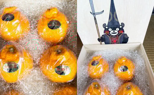 くまモン 木箱入り 不知火 約2.8kg 約6玉前後 柑橘 果物 しらぬい みかん 蜜柑 フルーツ くだもの 【2026年3月上旬発送開始】