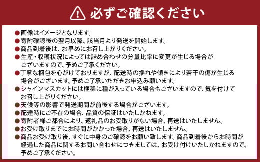 【年６回定期便】熊本県果物定期便 採れたて旬の果物をお届け！