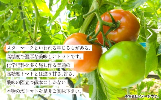 『まるでデザートのような甘～い、高級塩トマト』 約2.5kg 1箱 熊本県産 【2026年1月下旬発送開始】 野菜 やさい トマト とまと 塩トマト