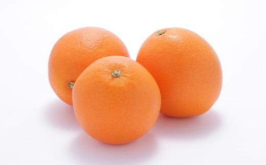 熊本県産 清見 約3kg 約7～9玉 柑橘 みかん 蜜柑 フルーツ 果物 くだもの 【2026年3月下旬発送開始】