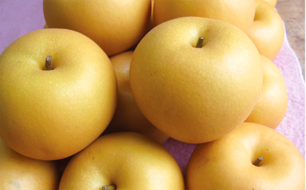 【年4回定期便】くまもと旬のフルーツ定期便 すいか 梨 柿 デコポン