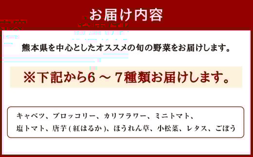 くまもと旬の野菜セット【2026年1月上旬発送開始】 キャベツ ブロッコリー トマト 芋 ほうれん草 小松菜 レタス ごぼう 野菜 サラダ 詰め合わせ セット 新鮮