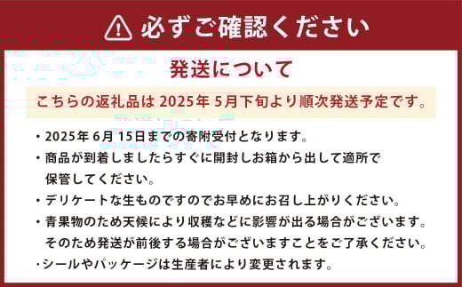熊本県産 肥後グリーンメロン 2玉入り 果物 メロン 【2025年5月下旬発送開始】