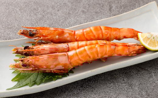 熊本県産冷凍活車エビ（養殖） 約500g 車エビ 海老 えび シーフード おつまみ 冷凍 熊本県産