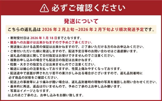 ゆうべに ( いちご ) 250g × 4パック 合計 1kg 【2026年2月上旬発送開始】