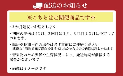 【年3回定期便】 熊本おすすめフルーツ定期便A（みかん・いちご・メロン＆デコポン） 【2026年12月上旬発送開始】 みかん ミカン 蜜柑 いちご イチゴ 苺 メロン デコポン フルーツ 果物 くだもの 果汁 果実 定期便 年3回 熊本県 熊本県産