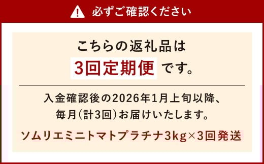 【年3回定期便/2026年1月発送開始】 ソムリエ ミニトマト プラチナ 3kg×3回 合計9kg とまと トマト 野菜 やさい 熊本県産 国産