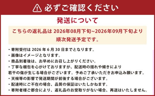 シャインマスカット2房 合計約1.2kg ぶどう ブドウ 葡萄 果物 くだもの フルーツ 【2026年8月下旬発送開始】