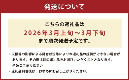 熊本県産 すいか スーパーエース 4kg以上 スイカ 西瓜 果物 くだもの フルーツ おすすめ ギフト 贈り物 【2026年3月上旬発送開始】