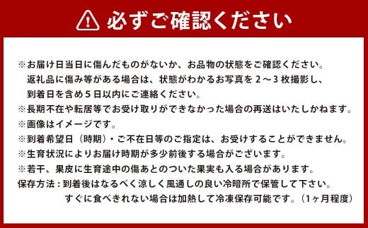 とうもろこし3種食べ比べ（スイートコーン/ゴールドラッシュ/ピュアホワイト等）計約4kg【2026年5月下旬発送開始】　とうもろこし トウモロコシ 3種 食べ比べ スイートコーン ゴールドラッシュ ピュアホワイト等 4kg 野菜 お野菜 やさい 熊本県産 国産