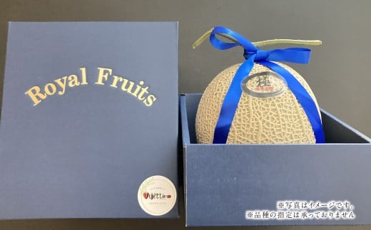 まるで果物の王様！アールスメロン1玉（熊本県産）【2026年5月上旬発送開始】 アールスメロン メロン 1玉 フルーツ 果物 くだもの 国産 熊本県産