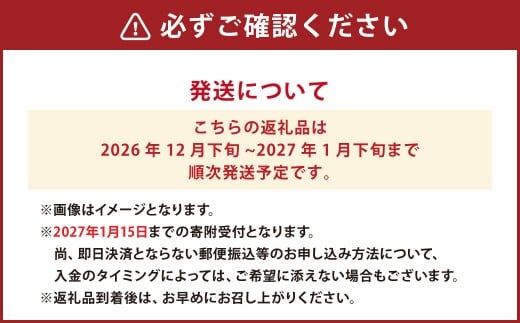 熊本県産 ハウスデコポン 約2kg（7～9個） 柑橘 みかん 蜜柑 デコポン【2026年12月下旬発送開始】