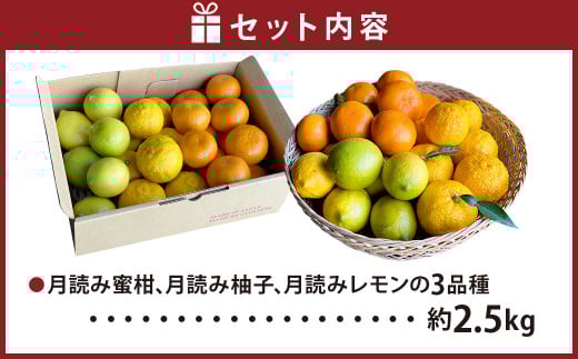 にしだ果樹園の熊本県産月読み果実3色詰め合わせ（3品種）【2025年11月上旬発送開始】みかん 柚子 ゆず レモン フルーツ 果物 熊本