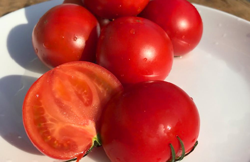 【2024年1月下旬発送開始】熊本県産 高級塩トマト「綾」1キロ前後