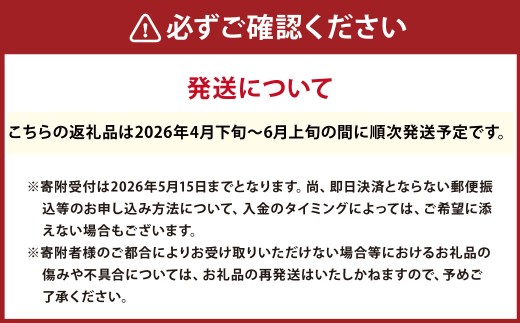 熊本県宇城市不知火町の海沿いの段々畑で作った「河内晩柑」約3kg（約8-9玉） 晩柑 ばんかん 柑橘 くだもの 果物 フルーツ 【2026年4月下旬発送開始】
