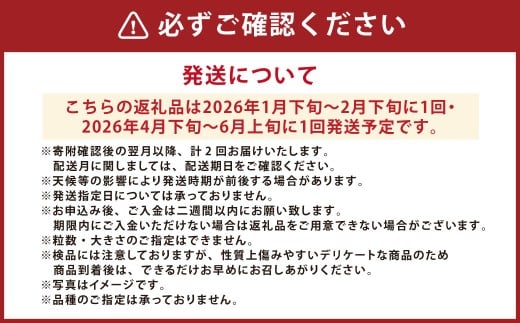 【年2回定期便】『まるで果物の王様！贅沢メロン』 2玉セット×2回 合計4玉 2色楽しめる特別な定期便 【2026年1月下旬発送開始】熊本県産 フルーツ くだもの 果物 メロン 果実 果肉 おやつ 国産
