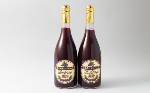 熊本県産 濃厚 ブルーベリー ジュース ギフト セット 720ml×2本 合計1440ml 【2026年7月上旬発送開始】 飲料 果汁飲料 無添加 フルーツ 果物 くだもの