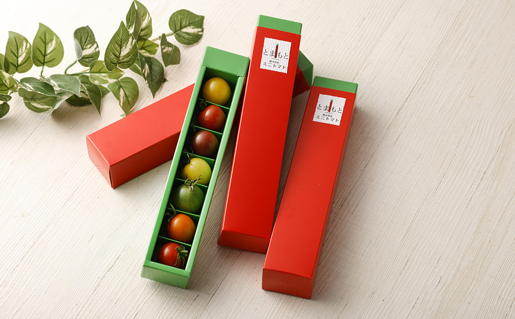 7色カラフルミニトマト 7粒×4箱 28粒 トマト ミニトマト