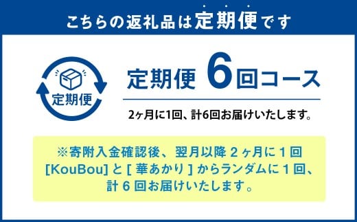 【年6回定期便】ミディ胡蝶蘭 KouBou 4種 ミディ胡蝶蘭 華あかり 2種 2本立ち 花 お花 植物 蘭 洋蘭 ラン インテリア アレンジ アレンジメント 鑑賞 観賞用 贈答用