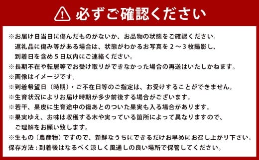 アールスメロン 1玉 ＆みかん 約1kg セット【2026年12月上旬発送開始】アールスメロン メロン 熊本みかん みかん 蜜柑 ミカン 1玉 約1kg セット フルーツ 熊本県産 国産 くだもの 果物 果実 果肉