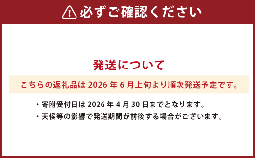熊本県産肥後グリーンメロン 4玉