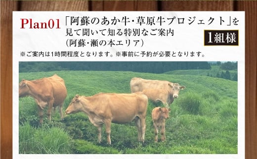 ～食べることは生きること～ 草原の魅力を学び、味わいながらシェフと草原の話をし、阿蘇の未来を考える特別な食事と体験（特別なご案内1組） チケット 体験 サステナブル