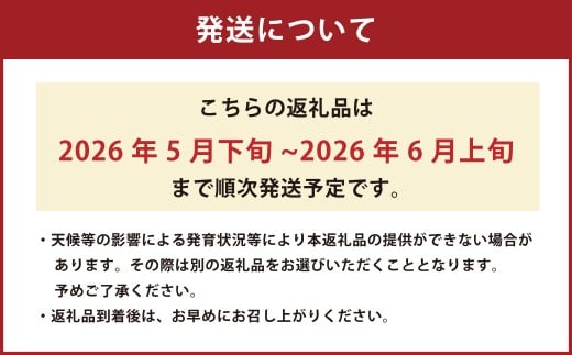 黒小玉 bonbonリッチ 計2玉 各2kg以上 スイカ すいか 西瓜 小玉スイカ 小玉すいか 小玉西瓜 小玉 果物 【2026年5月下旬発送開始】
