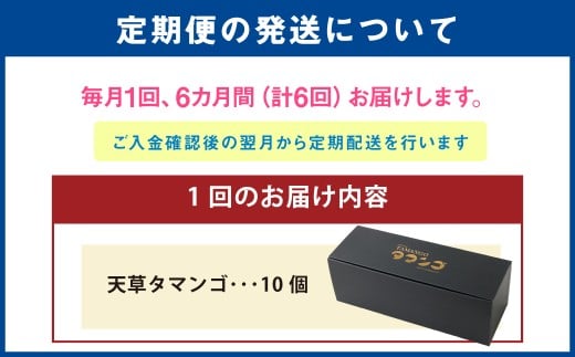 熊本県天草市で生まれたブランド卵「天草タマンゴ」10個入 ／ 化粧箱×6回 計60個 化粧箱入 【6ヶ月連続定期便】 卵 たまご タマゴ 生卵 生たまご 卵黄 卵 定期便 6回 熊本県 天草市