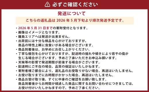 熊本県産 スイートコーン 4～5本 と フルーツトマト 約1kg 【2026年5月下旬発送開始】 野菜 やさい トウモロコシ とうもろこし コーン とまと トマト 国産