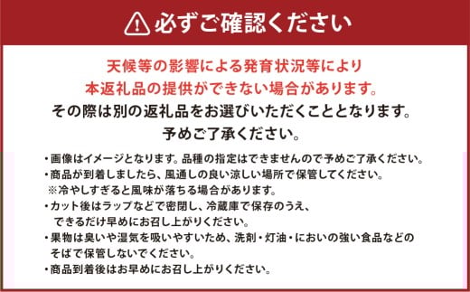 大玉すいか 1玉入り 3L以上 約8kg 【2026年5月上旬～2026年6月下旬発送予定】スイカ 甘いフルーツ 名産果物 果物 熊本県
