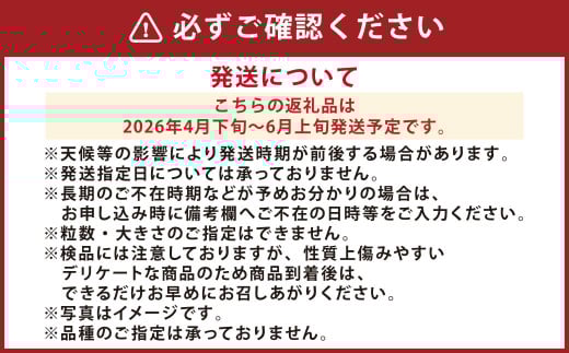 『まるで果物の王様！贅沢メロン』 2玉セット 1箱 熊本県産 【2026年4月下旬発送開始】フルーツ くだもの 果物 メロン 果実 果肉 おやつ 国産