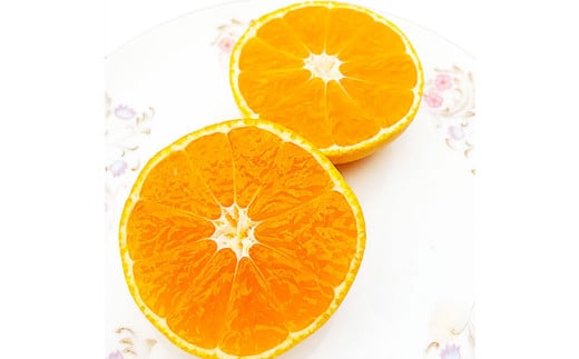 熊本県産ハウス蜜柑 約2キロ前後 果物 フルーツ みかん 蜜柑 ミカン ハウスみかん 約2kg前後 常温 熊本県産 【2026年7月上旬発送開始】