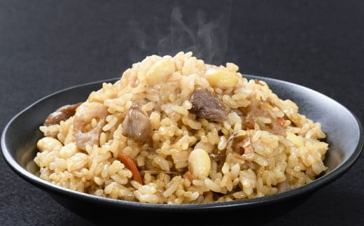 熊本県産 こだわり炒飯 肥後の鶏めし 230g×10袋 計2.3kg 鶏モモ肉 丸大豆 根菜 お米 鶏飯 鶏めし 鶏ごぼう 米飯 炒飯 和風ごはん