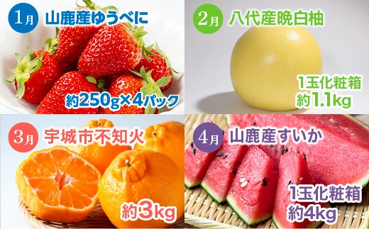 【 3か月 連続 定期便 】 熊本県 フルーツ 3ヶ月 定期便 果物 くだもの 旬 いちご 柑橘 スイカ メロン 柿 梨