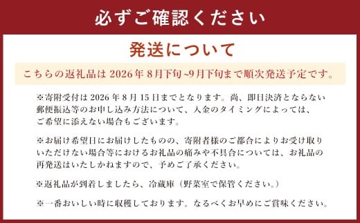 熊本県産 シャインマスカット 2房 約1.2kg前後