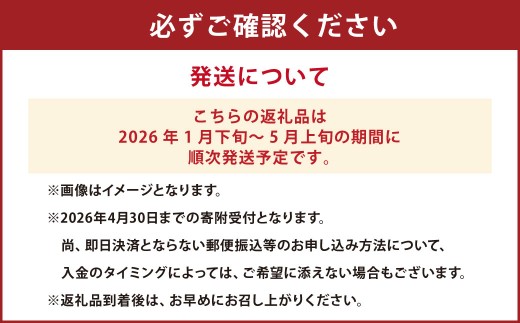 熊本県産 デコポン 5kg【2026年1月下旬～5月上旬順次発送予定】果物 くだもの フルーツ 柑橘 蜜柑 みかん