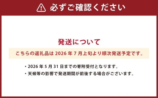 熊本県産 ハウスみかん 約5kg 約48～60個 【2026年7月上旬発送開始】 果物 フルーツ みかん 蜜柑 ミカン 柑橘