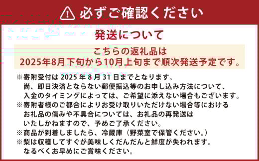 里山の恵み梨 約2.5kg 【2025年8月下旬発送開始】 なし ナシ 梨 フルーツ くだもの 果物 熊本