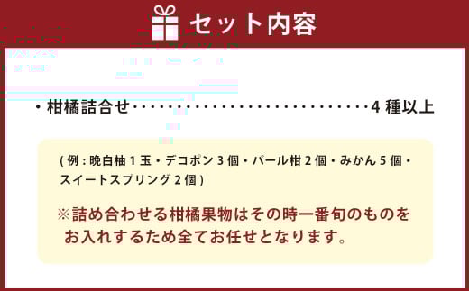 熊本県産 柑橘果物食べ比べセット 4種以上 【2026年1月上旬発送開始】 果物 フルーツ 柑橘 おまかせ 旬 旬のフルーツ