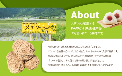 スザファーム産 スザンヌが心をこめてお届けする 【令和7年度産米】 阿蘇のぴかまる 5kg 【2025年10月上旬発送開始】 お米 米 コメ 阿蘇 ぴかまる ご飯 ごはん 国産 熊本県産