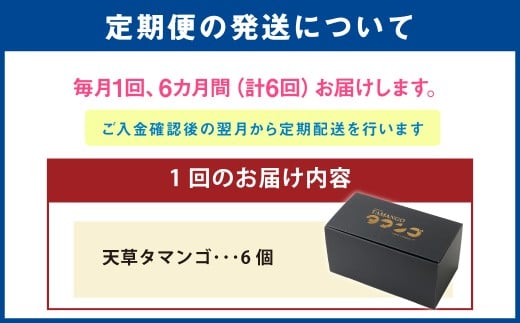 熊本県天草市で生まれたブランド卵「天草タマンゴ」6個入 ／ 化粧箱×6回 計36個 化粧箱入 【6ヶ月連続定期便】 卵 たまご タマゴ 生卵 生たまご 卵黄 卵 定期便 6回 熊本県 天草市