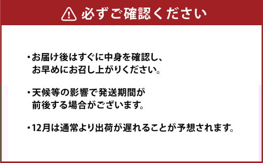 熊本県産 野菜 の 詰め合わせ 8品以上 やさい 季節の野菜 詰合せ 国産