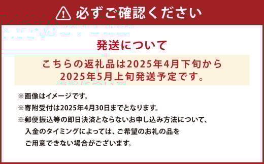 ～幻の柑橘～ 弓削瓢柑（ゆげひょうかん） 約5kg 【2025年4月下旬発送予定】 果物 柑橘 フルーツ 果実 九州 熊本