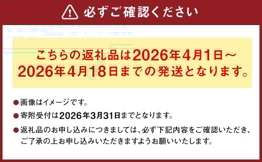 熊本県産 朝掘り 筍 約4kg 【2026年4月上旬発送開始】 たけのこ タケノコ 野菜